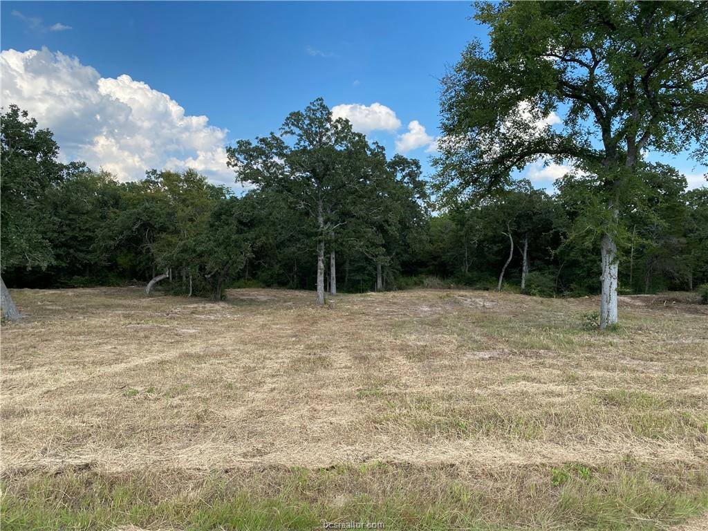 10144 Albert Drive, Iola, TX 77861