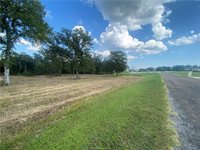 10144 Albert Drive, Iola, TX 77861