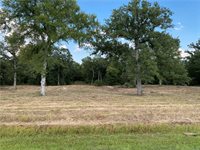 10144 Albert Drive, Iola, TX 77861