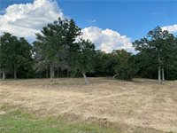 10144 Albert Drive, Iola, TX 77861