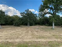 10144 Albert Drive, Iola, TX 77861