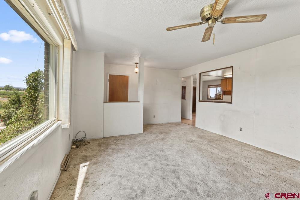 60433 Falcon Road, Olathe, CO 81425