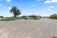 60433 Falcon Road, Olathe, CO 81425