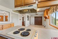 60433 Falcon Road, Olathe, CO 81425