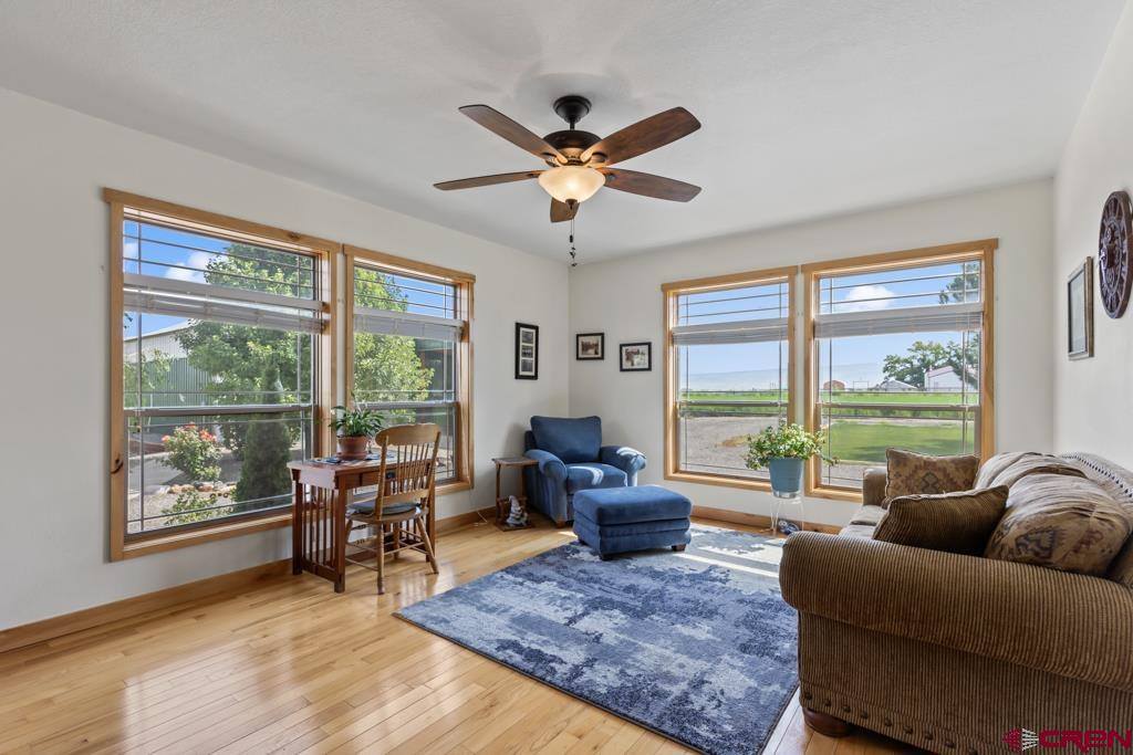 58133 Dandy Road, Olathe, CO 81425