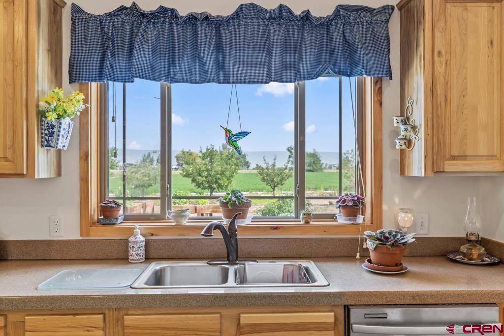 58133 Dandy Road, Olathe, CO 81425