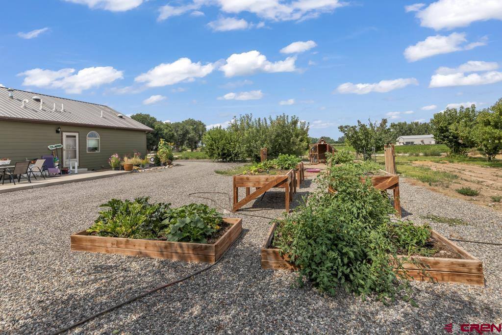 58133 Dandy Road, Olathe, CO 81425