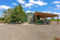 58133 Dandy Road, Olathe, CO 81425