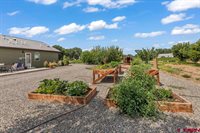 58133 Dandy Road, Olathe, CO 81425