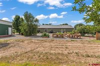 58133 Dandy Road, Olathe, CO 81425