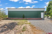 58133 Dandy Road, Olathe, CO 81425