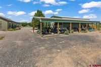 58133 Dandy Road, Olathe, CO 81425