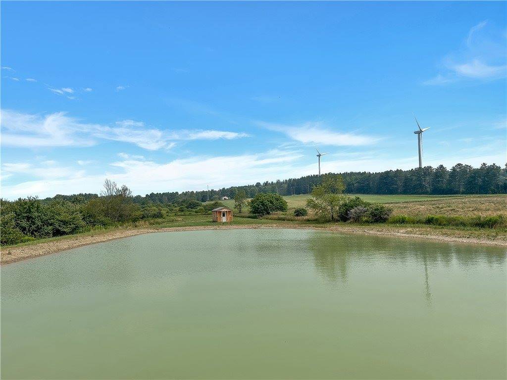 3919 Wing Street, Eagle, NY 14024