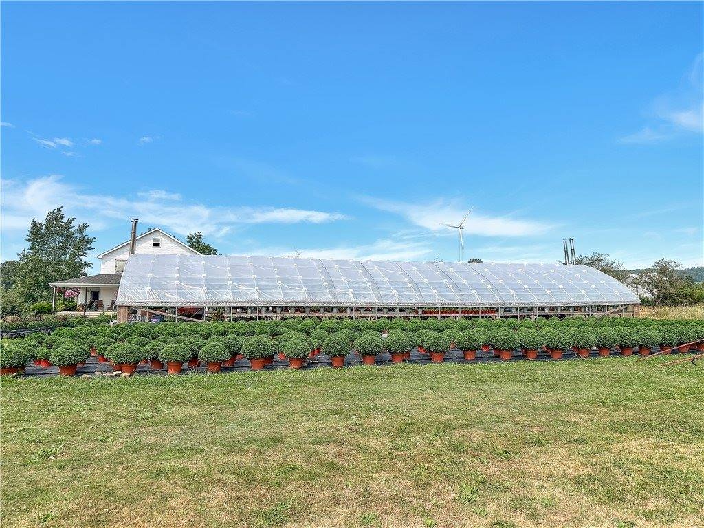 3919 Wing Street, Eagle, NY 14024