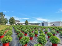 3919 Wing Street, Eagle, NY 14024