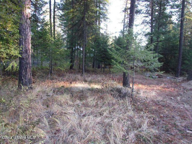 39 Forest Ridge Rd, Blanchard, ID 83804