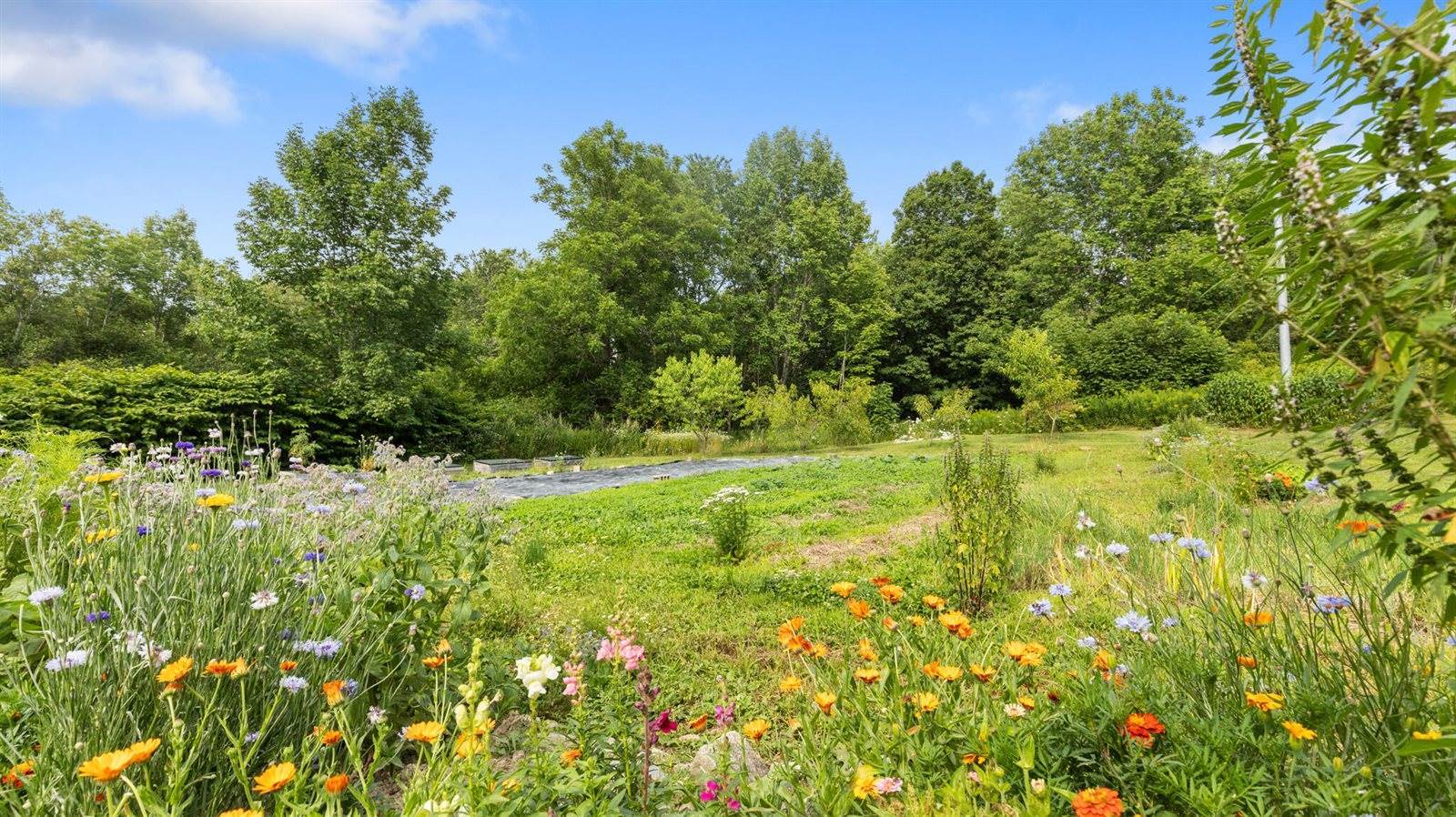 69 Hatch Road, Prospect, ME 04981