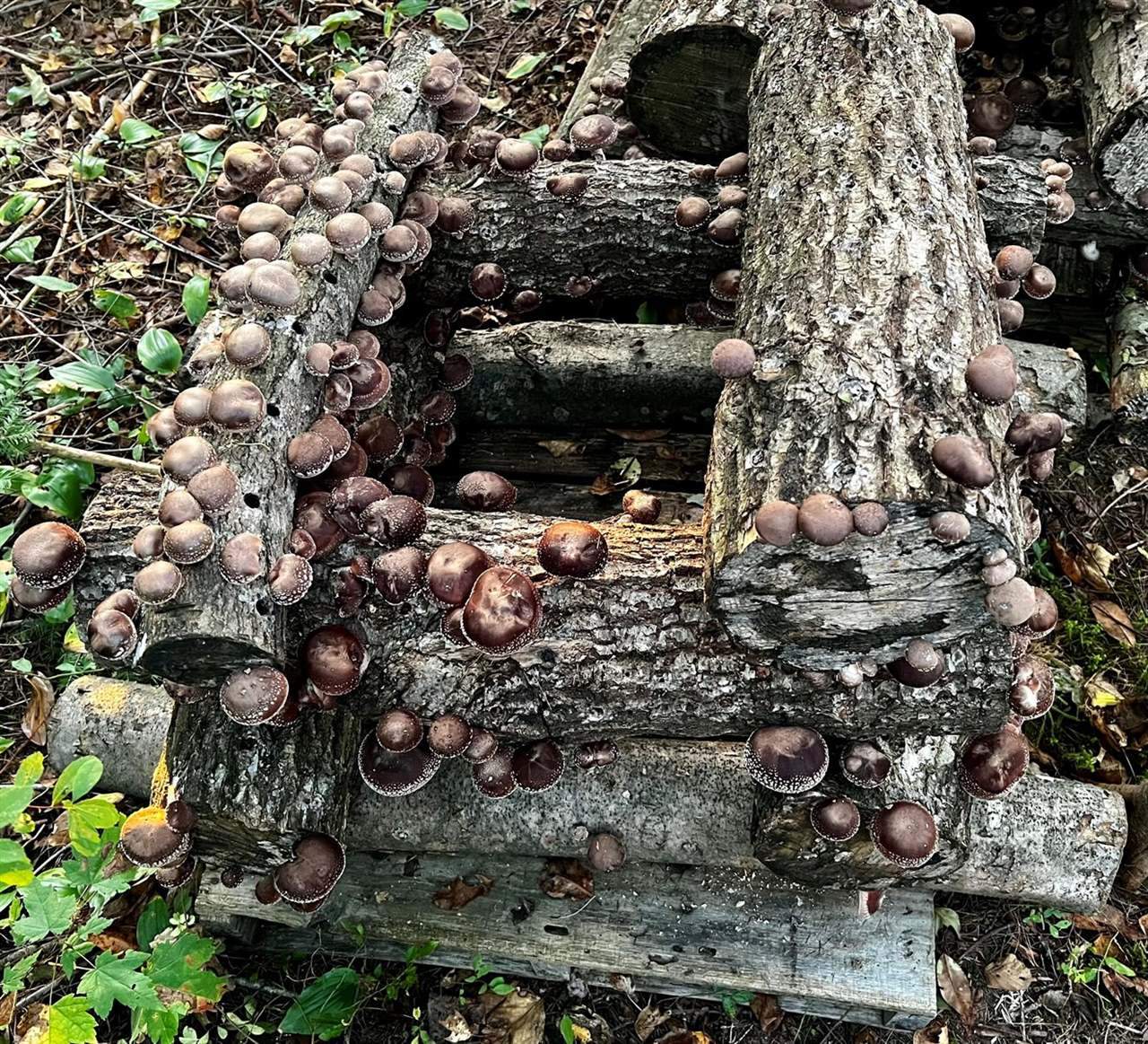 69 Hatch Road, Prospect, ME 04981