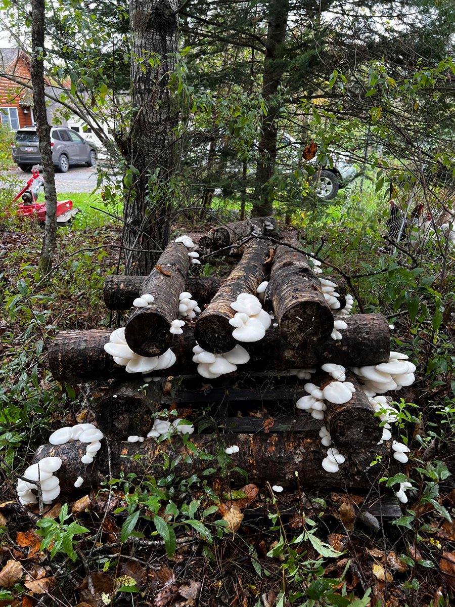 69 Hatch Road, Prospect, ME 04981