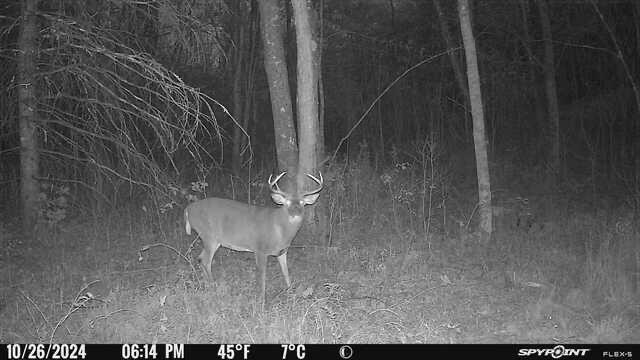 69 Hatch Road, Prospect, ME 04981