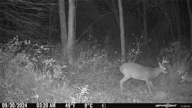 69 Hatch Road, Prospect, ME 04981