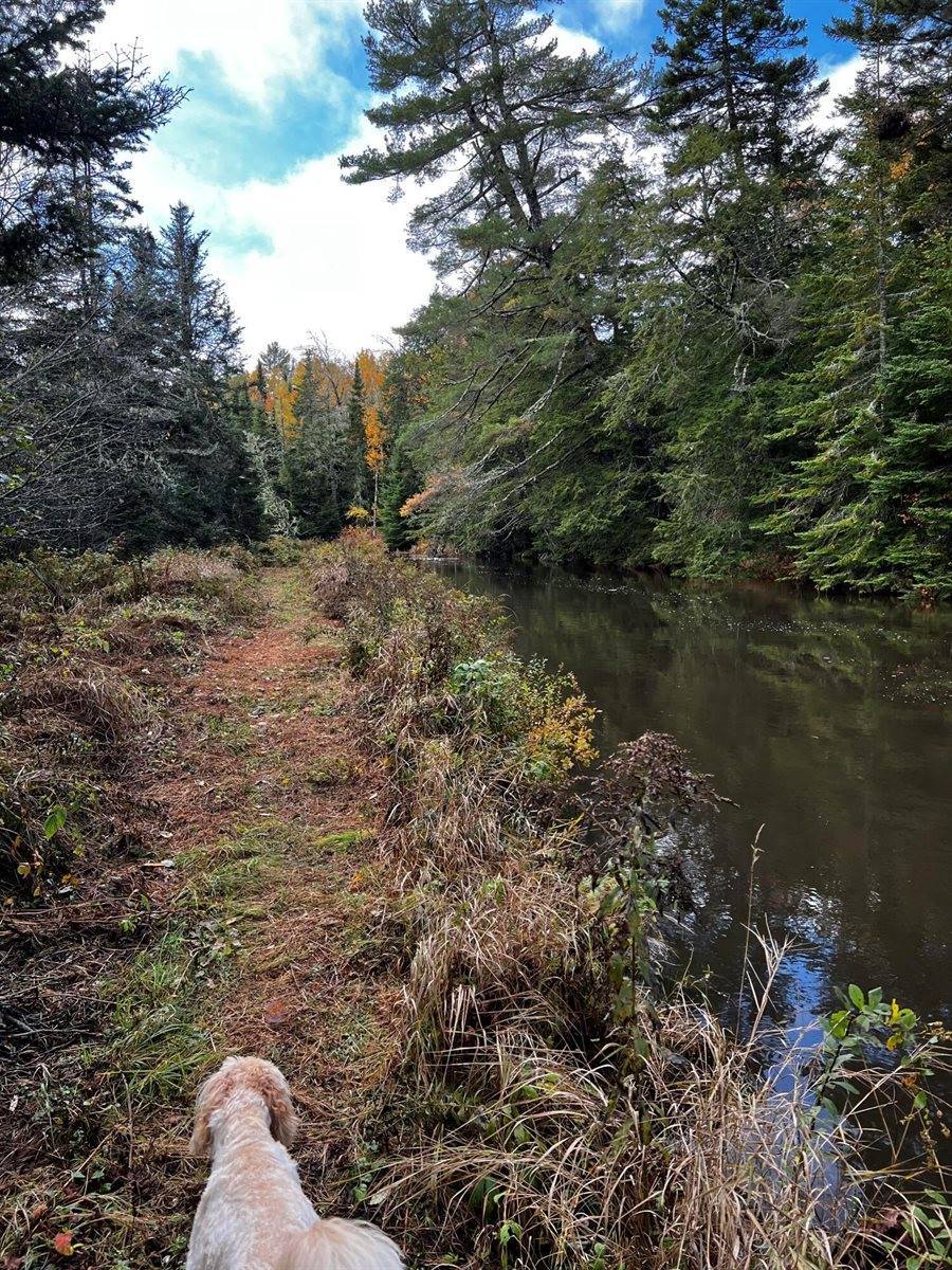 69 Hatch Road, Prospect, ME 04981