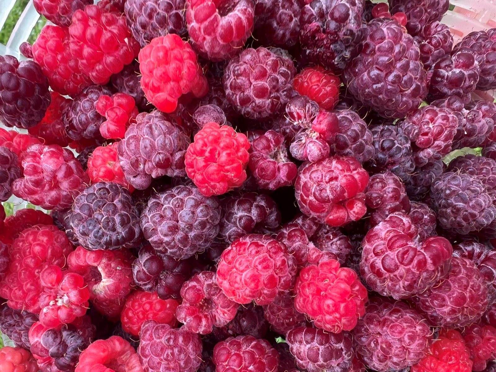 69 Hatch Road, Prospect, ME 04981