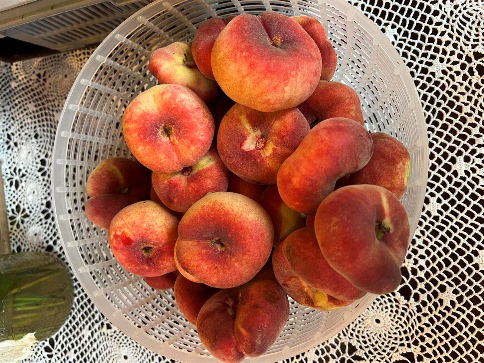 69 Hatch Road, Prospect, ME 04981