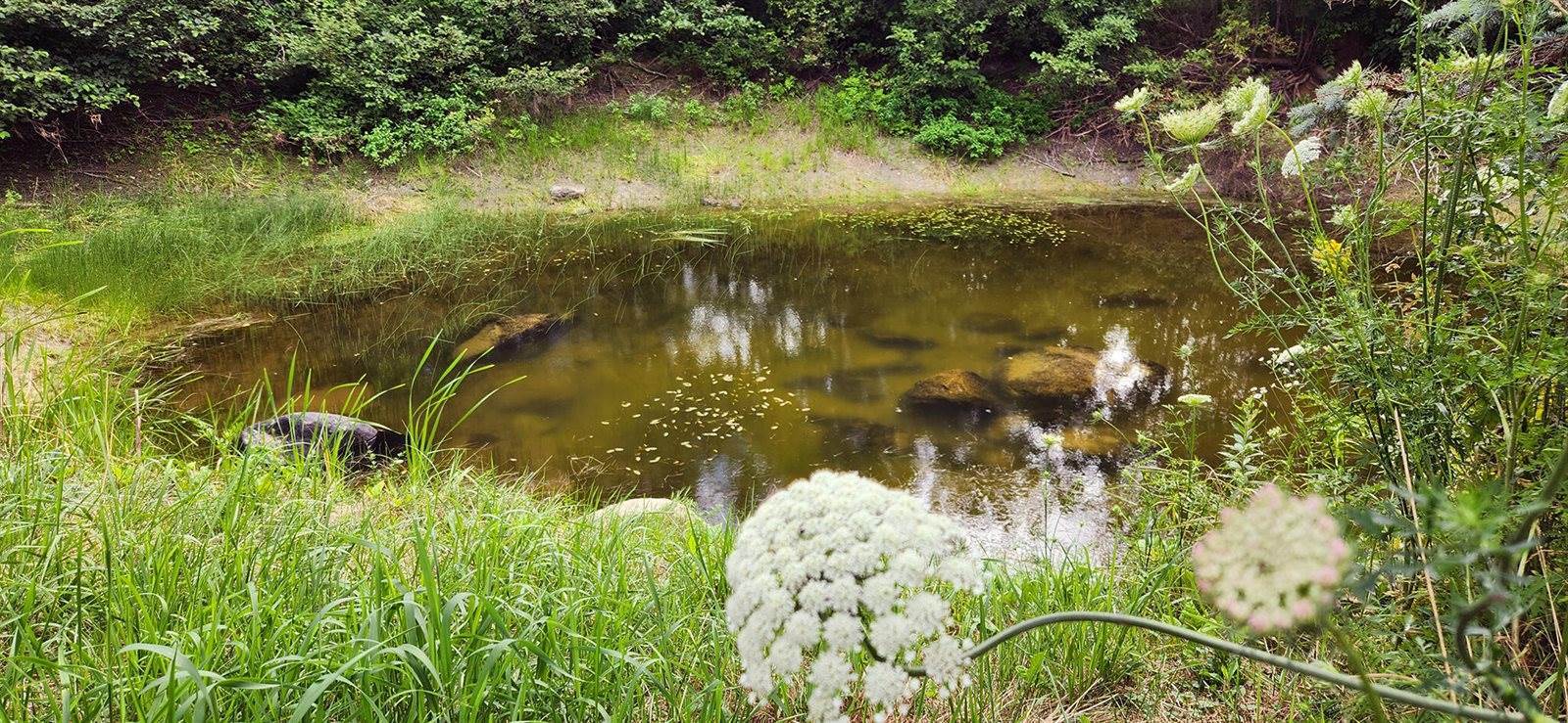 69 Hatch Road, Prospect, ME 04981