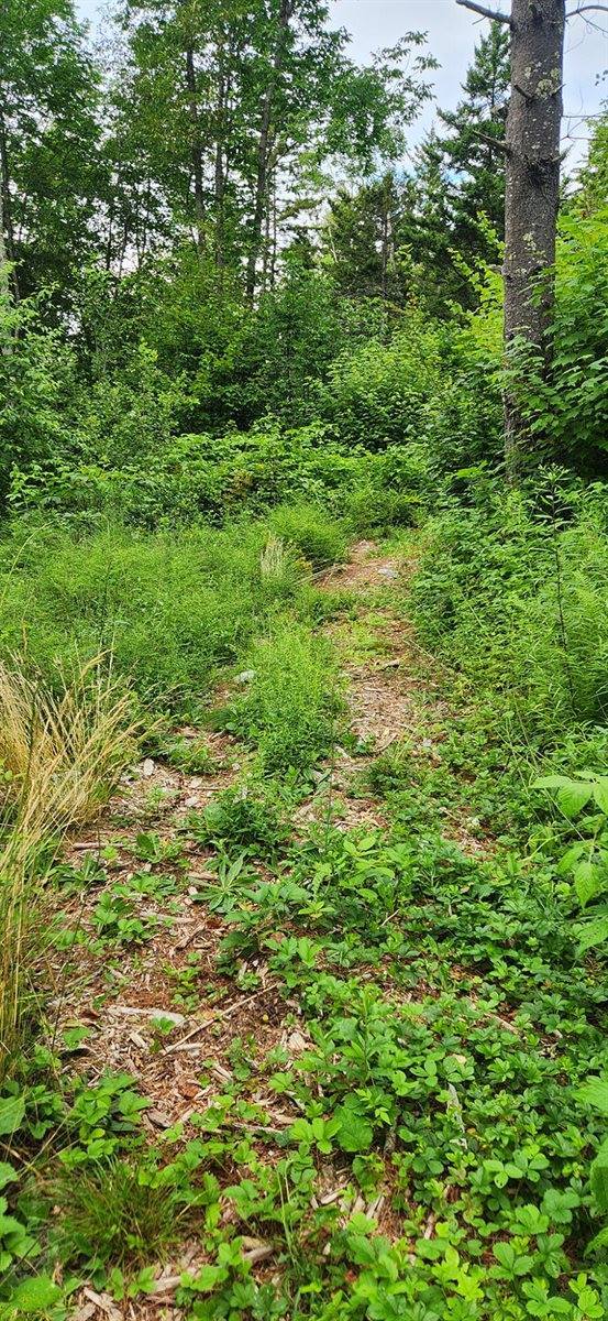 69 Hatch Road, Prospect, ME 04981