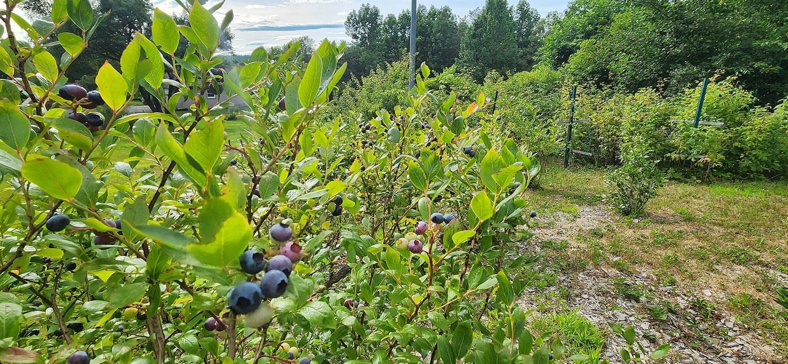 69 Hatch Road, Prospect, ME 04981