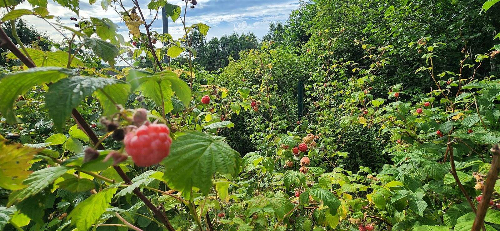 69 Hatch Road, Prospect, ME 04981