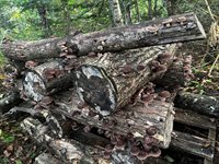 69 Hatch Road, Prospect, ME 04981