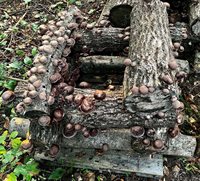 69 Hatch Road, Prospect, ME 04981