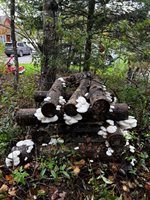 69 Hatch Road, Prospect, ME 04981