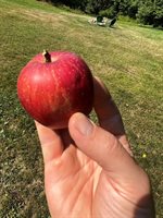 69 Hatch Road, Prospect, ME 04981