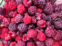 69 Hatch Road, Prospect, ME 04981