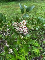 69 Hatch Road, Prospect, ME 04981