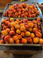 69 Hatch Road, Prospect, ME 04981