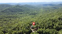 2235 Buck Mountain Rd, Purlear, NC 28665