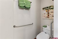 1530 American Way, Montrose, CO 81401