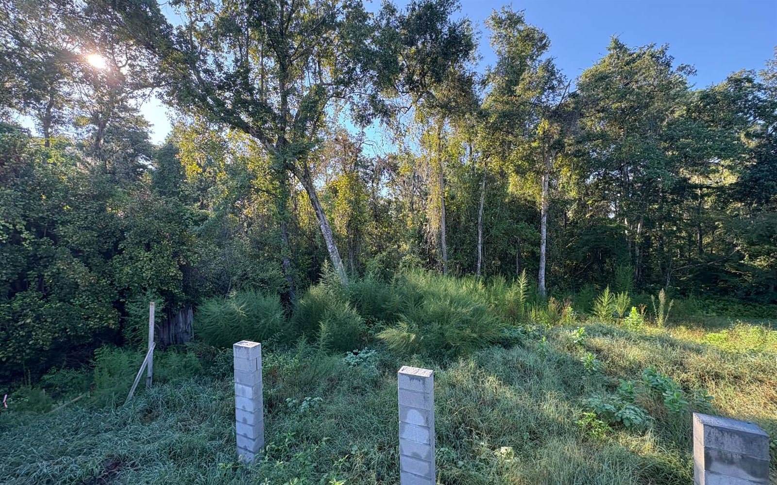 625 SE Rosewood Circle, Lake City, FL 32025