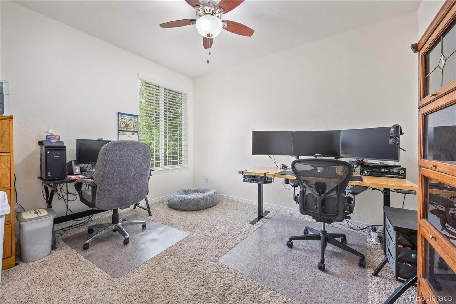 16395 Azalea Ave, Parker, CO 80134