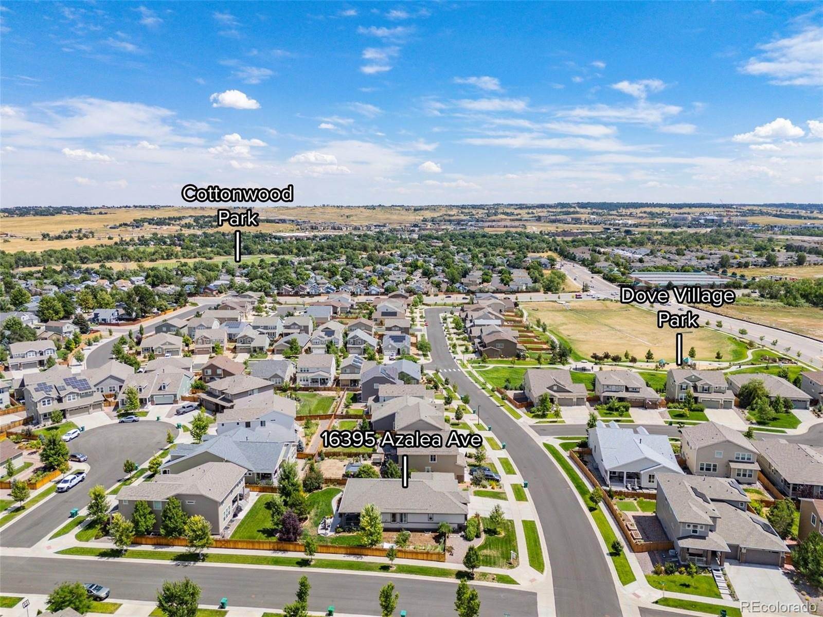 16395 Azalea Ave, Parker, CO 80134