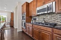 16395 Azalea Ave, Parker, CO 80134