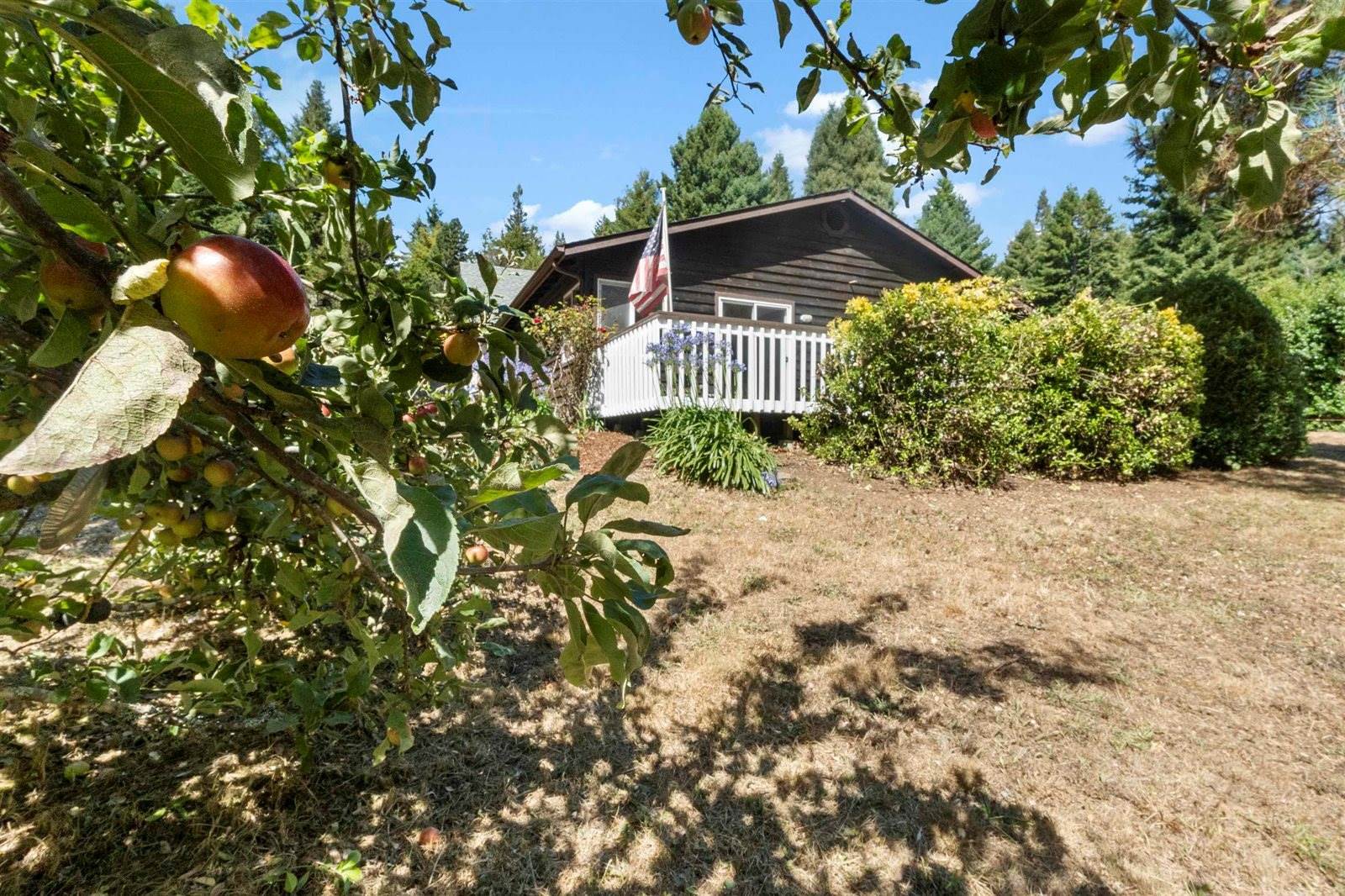 100 Tsunami, Crescent City, CA 95531