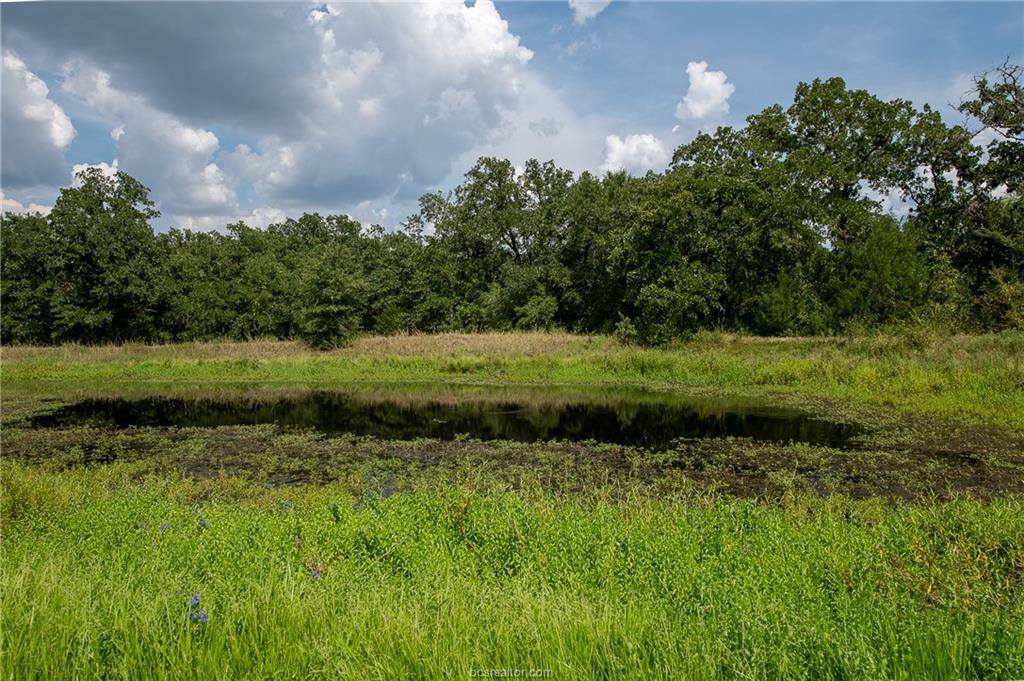 9142 Panther Creek Road, Iola, TX 77861