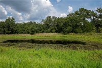 9142 Panther Creek Road, Iola, TX 77861