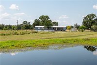 9142 Panther Creek Road, Iola, TX 77861