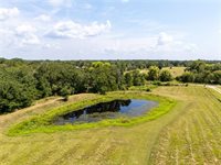 9142 Panther Creek Road, Iola, TX 77861